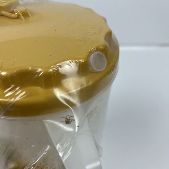 Vintage Lustro-Ware 70 oz Drink Juice Pitcher Lid 2 Qts 4 Tumblers Sealed NOS - Picture 7 of 8